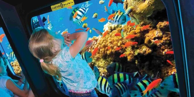 From Safaga or Soma Bay: Semi Submarine Tour With Snorkeling - Customer Feedback