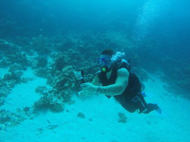 From Safaga: Orange Island, Diving, Snorkel and Water Sports - Inclusions