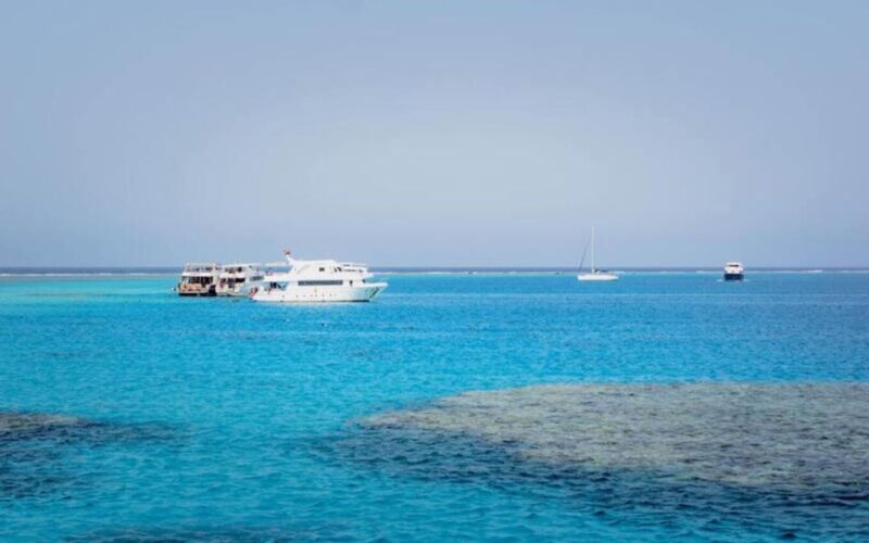 From Safaga Port: Giftun Island Snorkeling Cruise With Lunch - Key Points