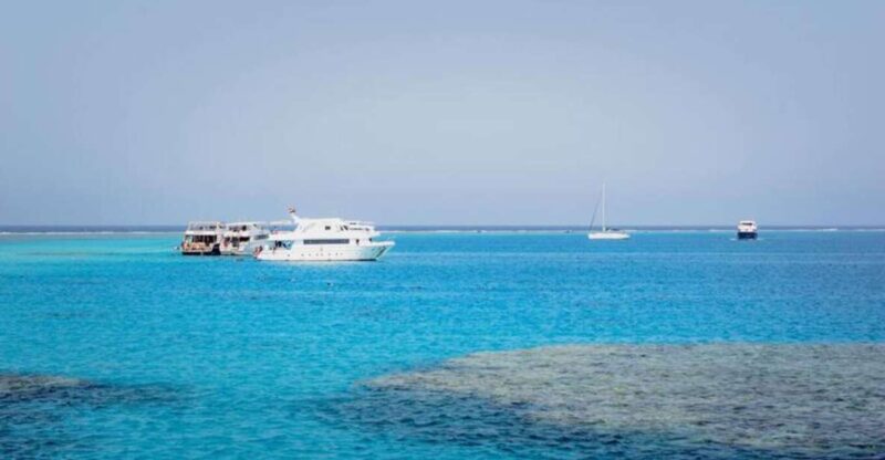 From Safaga Port: Giftun Island Snorkeling Cruise With Lunch - Snorkeling in the Red Sea