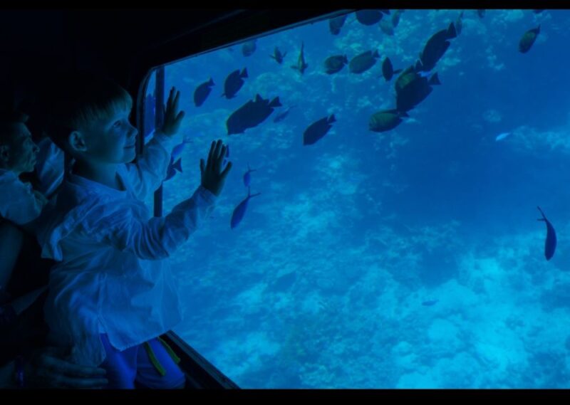 From Safaga: Royal Seascope Submarine With Snorkeling - Pricing and Cancellation