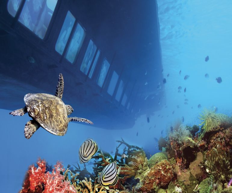 From Safaga: Royal Seascope Submarine With Snorkeling - Pickup and Transportation