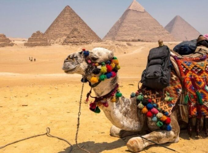 From Safaga/Soma Bay: Pyramids & Egyptian Museum Day Tour - Booking Flexibility