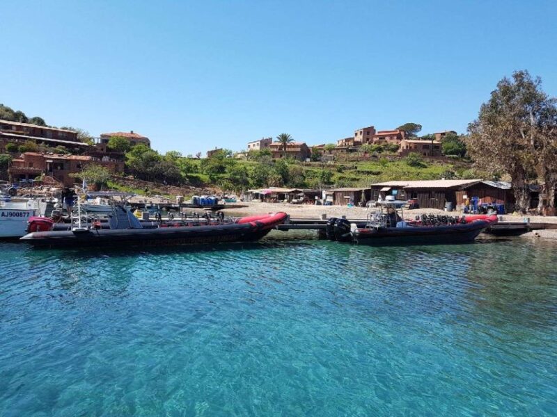 From Sagone/Cargèse: Piana, Scandola, Girolata Boat Tour - Key Points