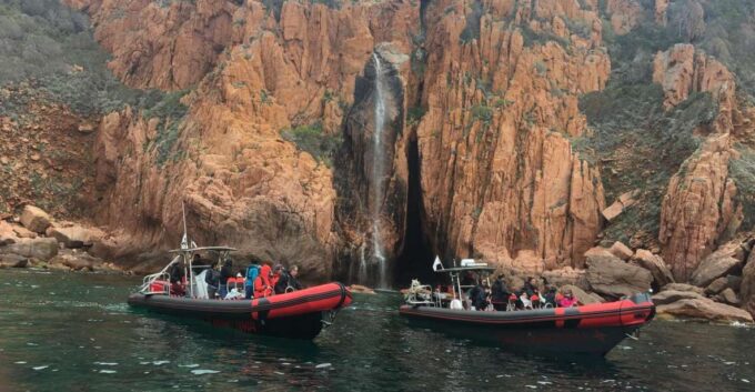 From Sagone/Cargèse: Piana, Scandola, Girolata Boat Tour - Customer Feedback and Ratings
