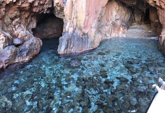 From Sagone/Cargese: Scandola, Piana and Girolata Boat Tour - Frequently Asked Questions