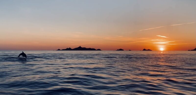 From Sagone or Cargèse: Sanguinaires Islands Sunset Tour - Boat Details