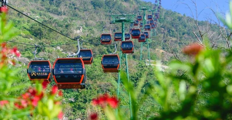 From Saigon: Cao Dai Temple & Black Mountain Tour With Lunch - Key Points