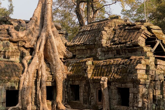 From Saigon to Angkor: A 7-Day Cultural Journey - Traveler Feedback