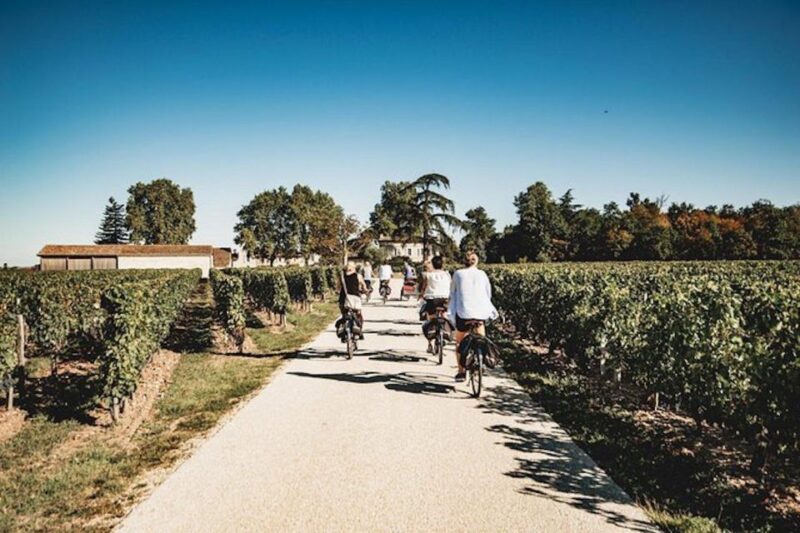 From Saint-Emilion : Half Day Electric Bike Tour - Electric Bike Ride Details
