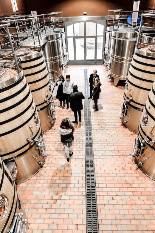 From Saint-Emilion : Half Day Electric Bike Tour - Distinct Winery Experiences
