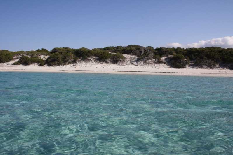 From Saint-Florent: Boat Transfer to Saleccia or Lotu Beach - Departure and Duration