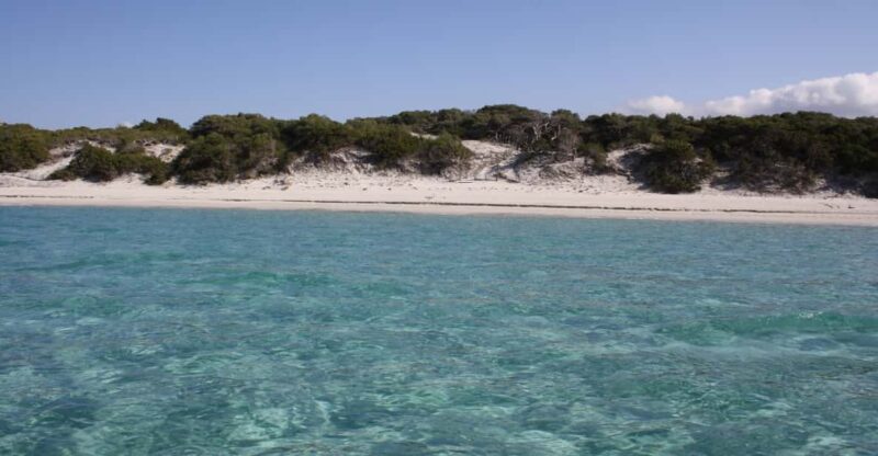 From Saint-Florent: Boat Transfer to Saleccia or Lotu Beach - Cancellation and Booking