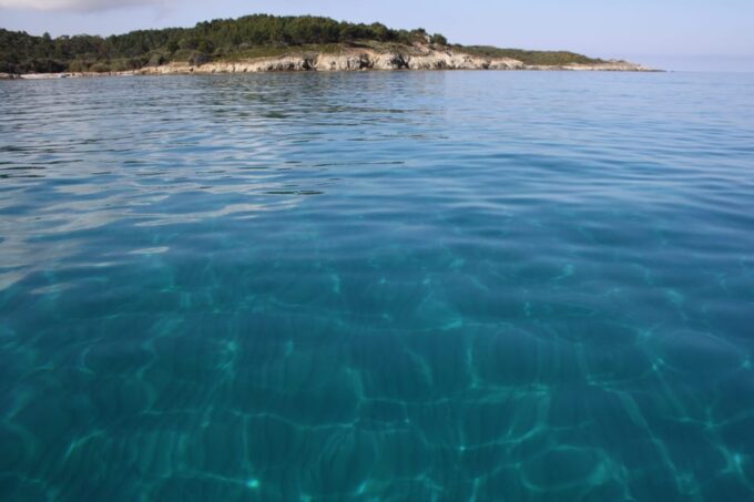 From Saint-Florent: Boat Transfer to Saleccia or Lotu Beach - Frequently Asked Questions
