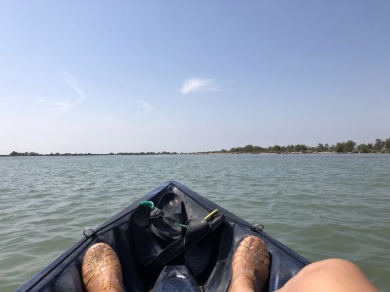 From Saintes Maries De La Mer: Safari and Canoeing - Safari in the Camargue