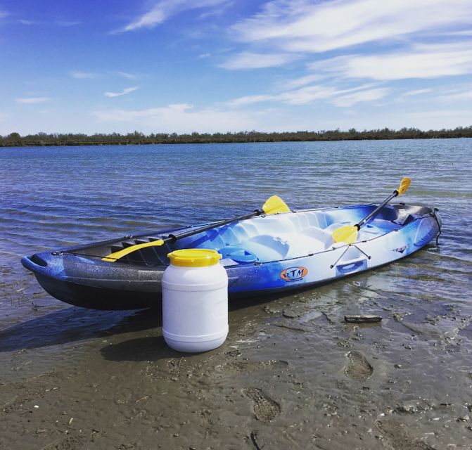 From Saintes Maries De La Mer: Safari and Canoeing - Picnic Lunch on the Rhône River