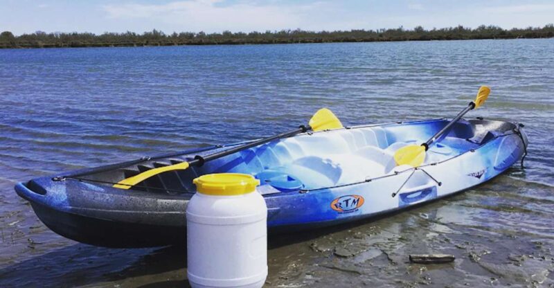 From Saintes Maries De La Mer: Safari and Canoeing - Canoeing on the Rhône River Delta