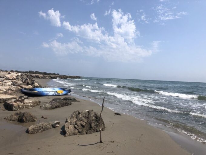 From Saintes Maries De La Mer: Safari and Canoeing - Free Cancellation Policy