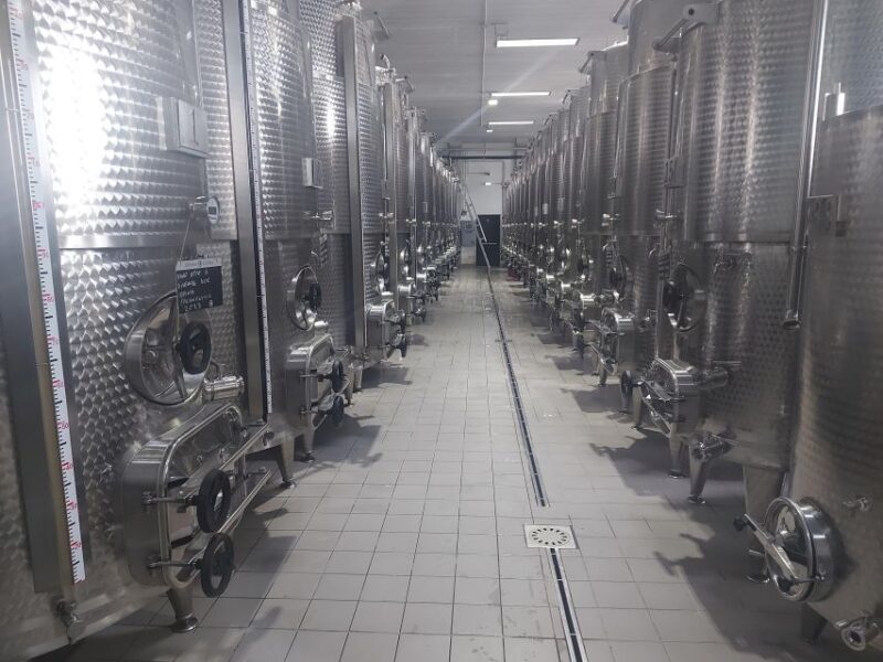 From Salerno: Irpinia Wine Tour Half-Day Trip - Wine Experience