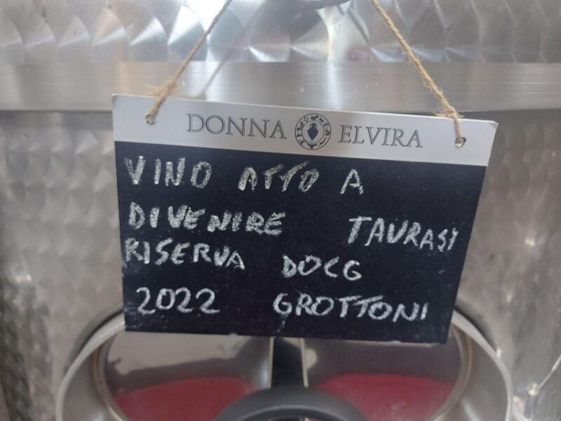From Salerno: Irpinia Wine Tour Half-Day Trip - Guided Tour Details
