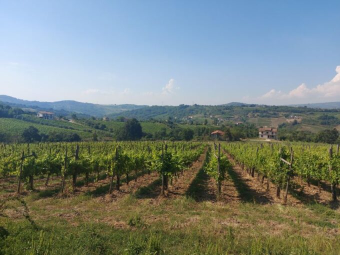From Salerno: Irpinia Wine Tour Half-Day Trip - Meeting Point and Duration