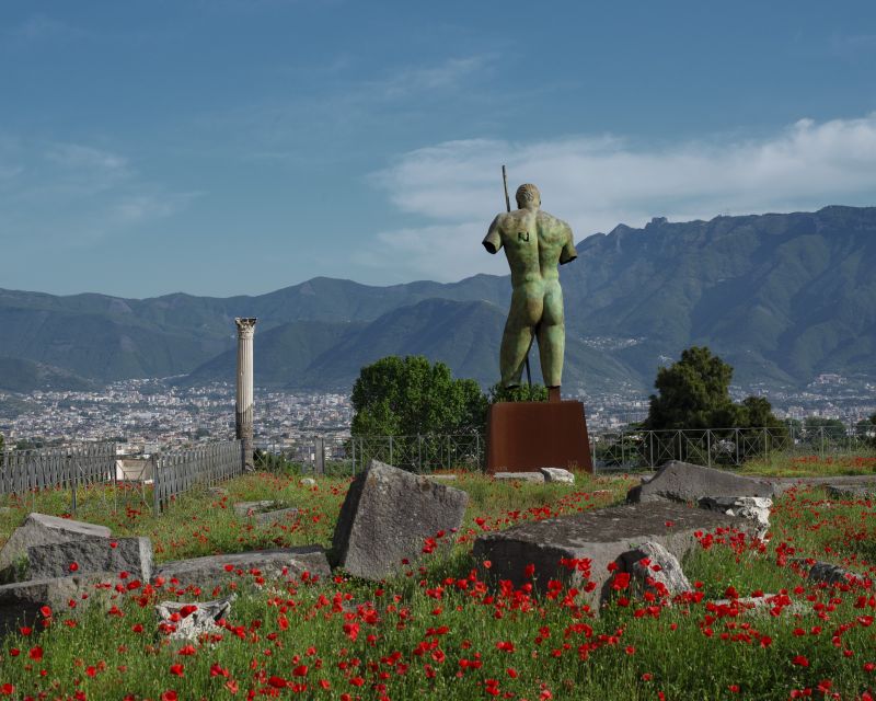 From Salerno: Pompeii Guided Walking Tour With Ticket - Key Points