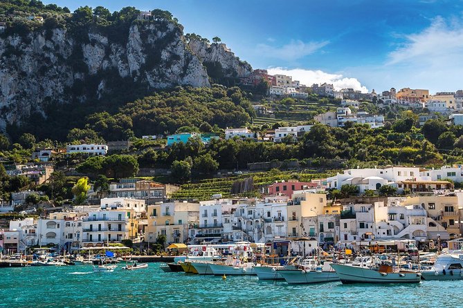 From Salerno: Small Group Li Galli Islands and Capri Boat Tour - Inclusions