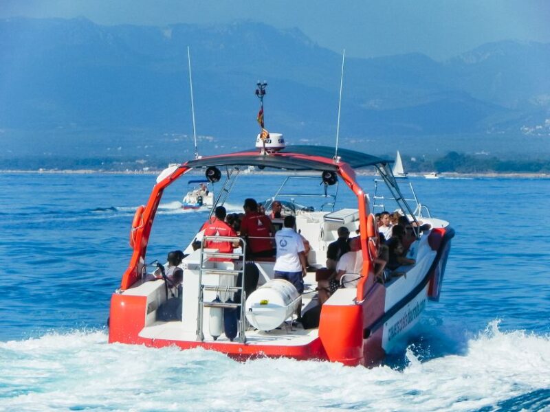 From Salou/Cambrils: Speedboat Tour - Experience Highlights