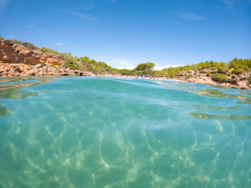 From Salou/Cambrils: Speedboat Tour - Inclusions