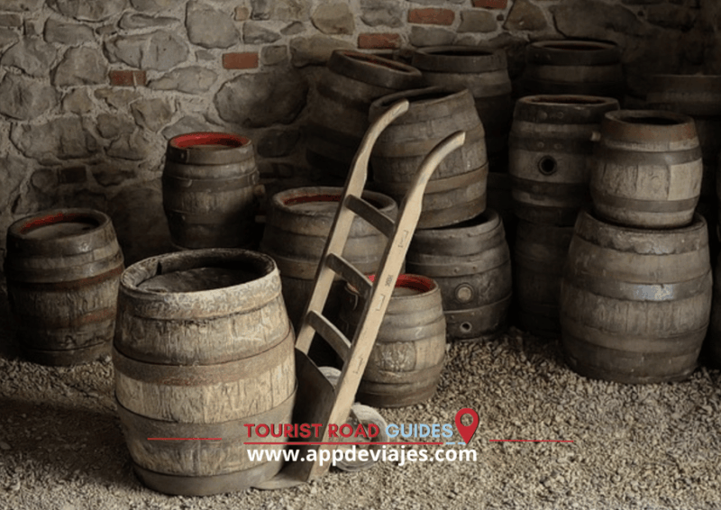 From Salou: Cartuja Scaladei, Lunch & Wines - About Cartuja Scaladei