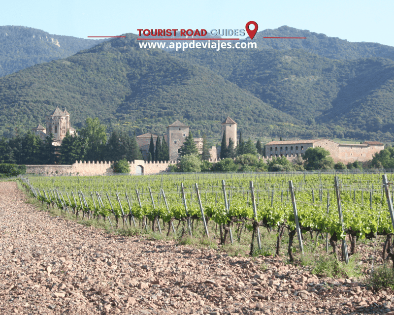 From Salou: Poblet Monastery & Sitges Tour With Wine Tasting - Foix Reservoir