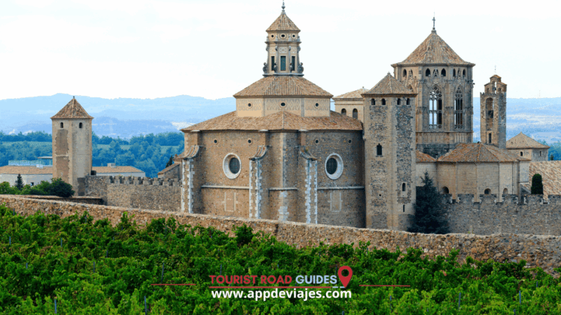 From Salou: Poblet Monastery, Siurana, and Olive Oil Tour - Poblet Monastery Experience