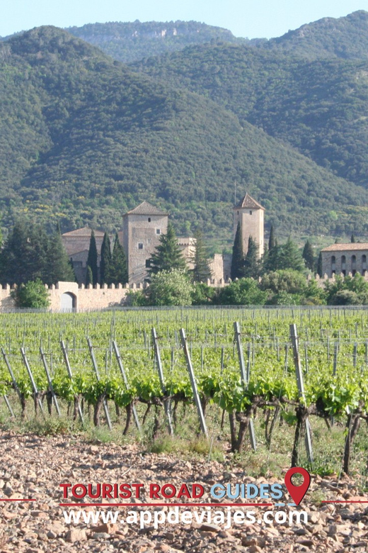 From Salou: Poblet Monastery, Siurana, and Olive Oil Tour - Siurana Visit and Cultural Insights