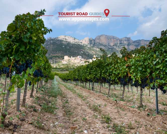 From Salou: Siurana Castle and Cornudella Winery - Key Points