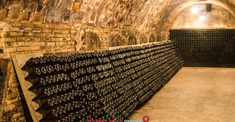 From Salou: Tour Private Cavas & Sitge Winery - Freixenet Winery Experience