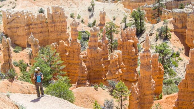 From Salt Lake City: Private Bryce Canyon National Park Tour - Dining and Return Trip