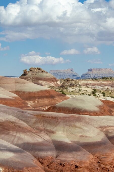 From Salt Lake City: Private Capitol Reef National Park Tour - Guided Hikes and Drives
