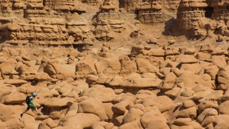 From Salt Lake City: Private Goblin Valley State Park Tour - Inclusions