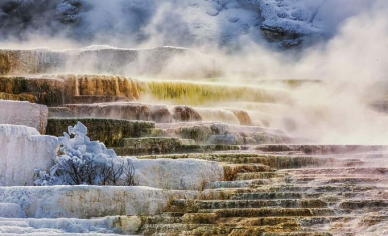 From Salt Lake City: Yellowstone & Grand Teton 5-Day Tour - Pricing and Value