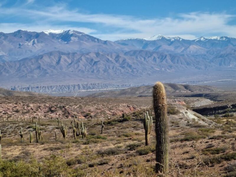 From Salta: 2-Day Guided Trip to Cafayate and Cachi - Experience Highlights