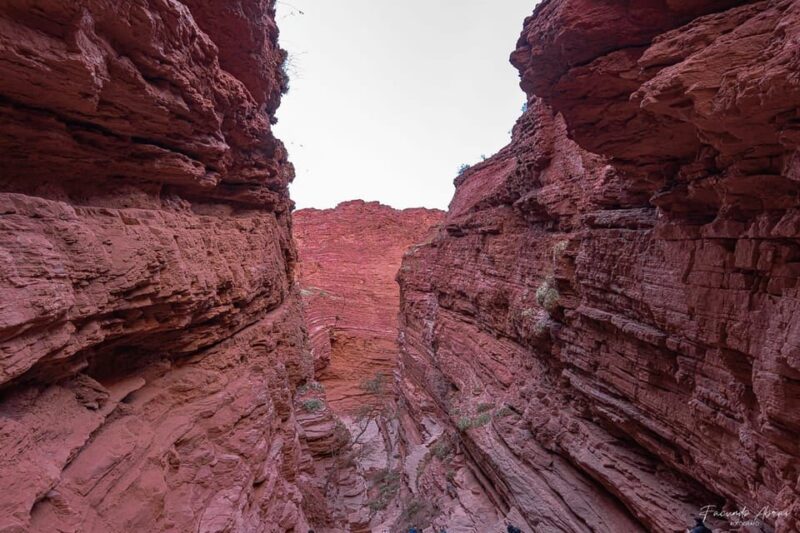 From Salta: 2 Day Guided Trip to Cafayate & Humahuaca - Key Points