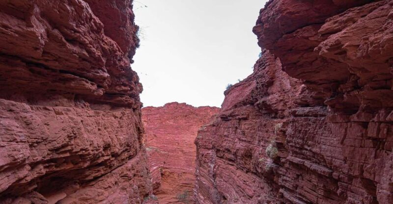 From Salta: 2 Day Guided Trip to Cafayate & Salinas Grandes - Itinerary Highlights