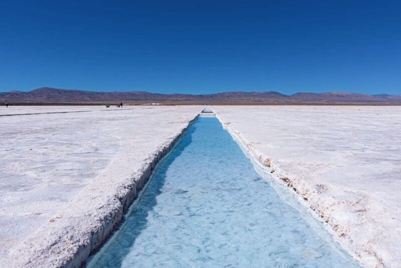 From Salta: 2 Day Guided Trip to Cafayate & Salinas Grandes - Customer Reviews and Feedback