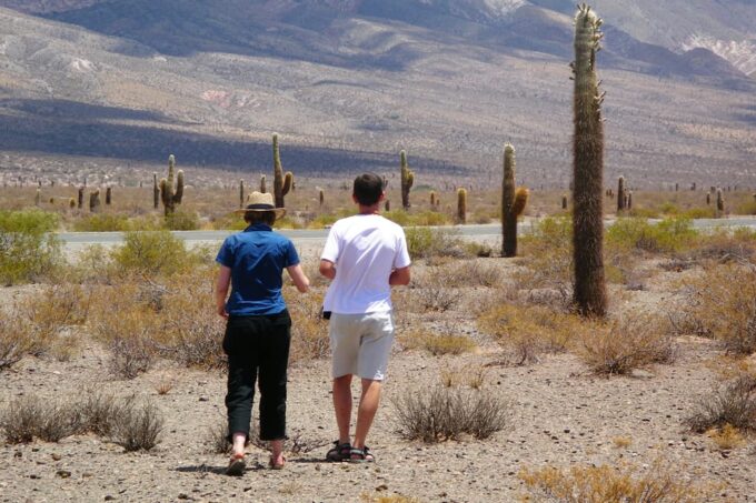 From Salta: 3-Day Cafayate, Cachi, and Humahuaca Guided Trip - Customer Feedback