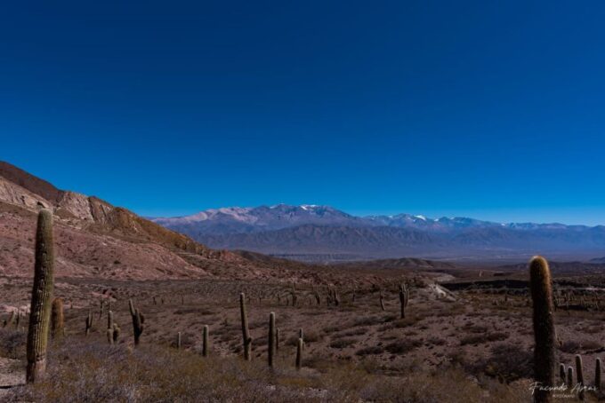 From Salta: 3-Day Trip to Salinas Grandes, Cachi & Hornocal - Customer Feedback