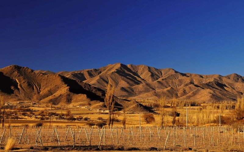 From Salta: Cachi and Los Cardones National Park Tour - Key Points