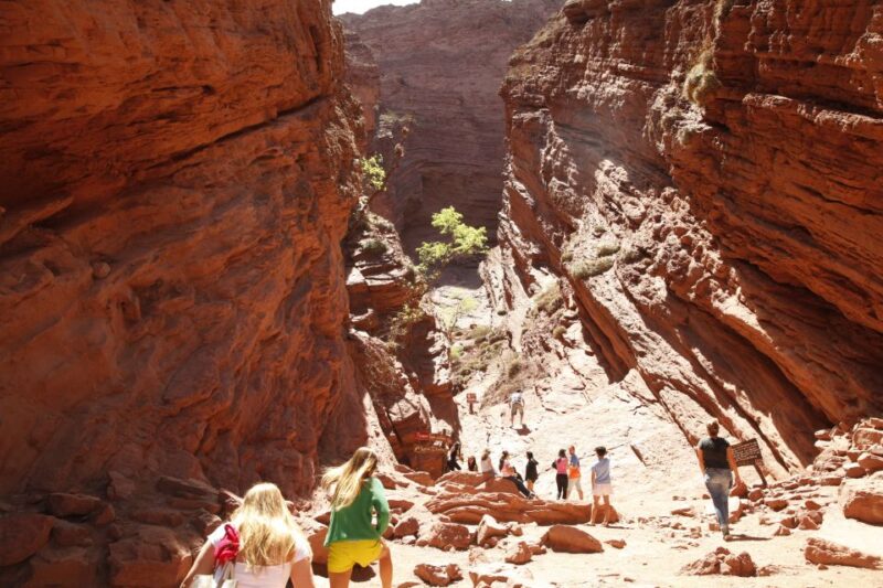From Salta: Cafayate, Cachi, & Hornocal 3-Day Tour - Day 1: Cafayate Winery Tour