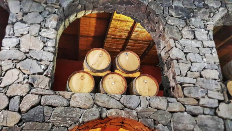 From Salta: Cafayate Day Trip With Wine Tasting - Transportation and Pickup Details