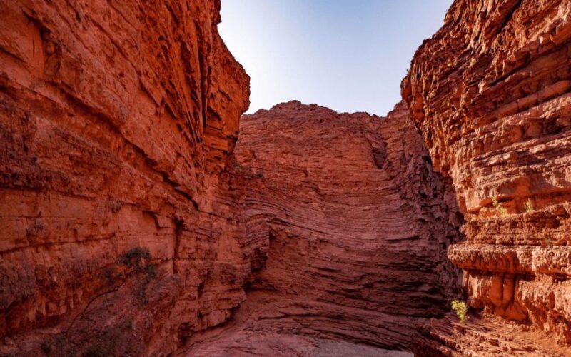 From Salta: Cafayate, Humahuaca, and Salinas Grandes in 3 Days - Key Points