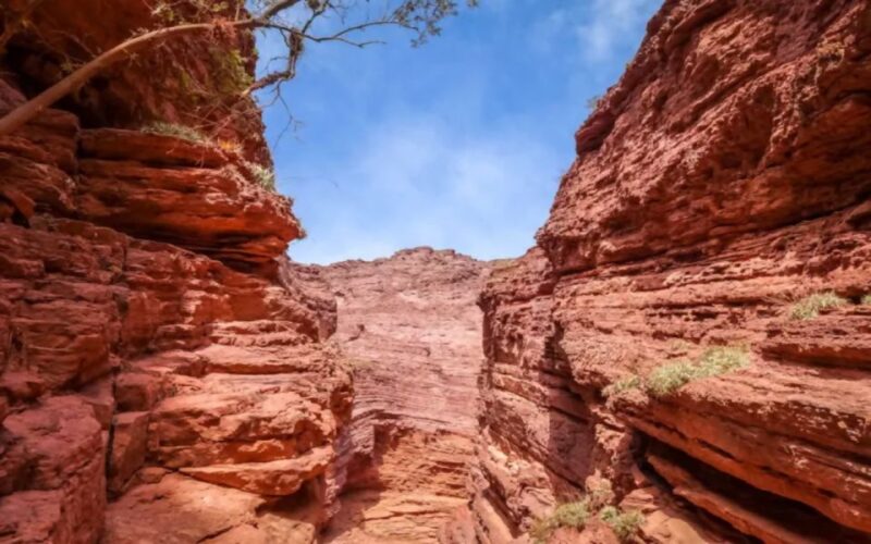 From Salta: Cafayate, Humahuaca, Cachi, & Salinas Grandes - Important Details to Know